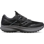 Кросівки для бігу Saucony RIDE 15 TR GTX (20799-10s)