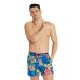 шорти Arena MEN'S BEACH SHORT ALLOVER (005253-220)