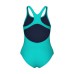 Купальник Arena TEAM SWIMSUIT SWIM PRO SOLID (004762-870)