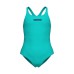 Купальник Arena TEAM SWIMSUIT SWIM PRO SOLID (004762-870)