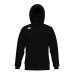 Худі Arena TEAM HOODED SWEAT PANEL (004904-500)