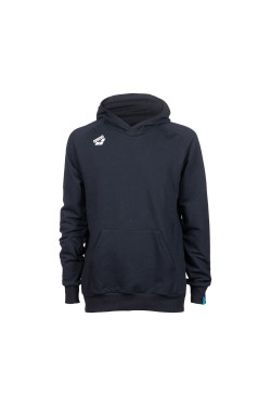 Худі Arena TEAM HOODED SWEAT PANEL (004904-700)