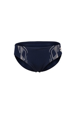 Плавки Arena REFLECTING SWIM BRIEFS (007340-701)