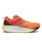 Кросівки для бігу Saucony TRIUMPH 22 (S20964-215)