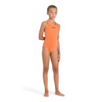 Купальник Arena TEAM SWIM PRO SOLID (004762-350)