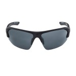 Окуляри с/захиснi Alpina LYRON HR (A8632-31)