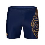 Плавки Arena SWIM MID JAMMER GRAPHIC (005116-700)