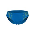 Плавки Arena REFLECTING SWIM BRIEFS (007340-720)