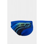 Плавки Arena SHADING JR SWIM BRIEFS (006372-800)