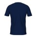 Футболка Arena T-SHIRT TEAM (002701-710)