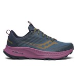 Кросівки для бігу Saucony RIDE TR2 GTX (S10953-251)