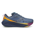 Кросівки для бігу Saucony TRIUMPH 22 GTX (S10966-253)