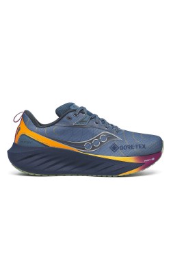 Кросівки для бігу Saucony TRIUMPH 22 GTX (S10966-253)