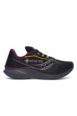 Кросівки для бігу Saucony KINVARA 15 GTX (S10969-250)