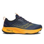 Кросівки для бігу Saucony RIDE TR2 GTX (S20953-251)