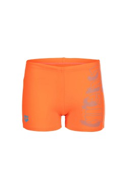 Плавки Arena TALES SWIM SHORT (009087-308)