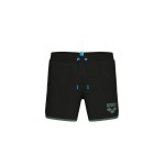 Шорти Arena BIG LOGO BORDERS BEACH SHORT (009103-560)