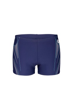 Плавки Arena NEO STREAM SWIM SHORT (010795-701)