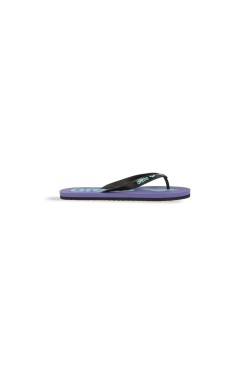 В'єтнамки Arena FLIP FLOP (002309-112)