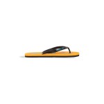 В'єтнамки Arena FLIP FLOP (002309-113)