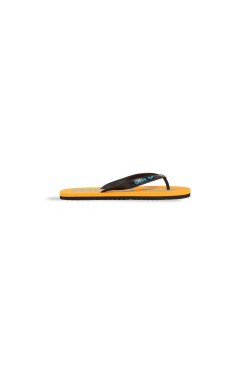 В'єтнамки Arena FLIP FLOP (002309-113)