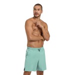 Шорти Arena EVO BEACH BOXER SOLID (006060-650)