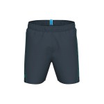 Шорти Arena FUNDAMENTALS ARENA LOGO BOXER  (006444-580)