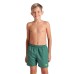 Шорти Arena BEACH BOXER SOLID R (006447-661)