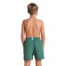 Шорти Arena BEACH BOXER SOLID R (006447-661)