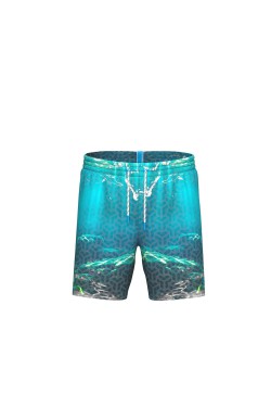 Шорти Arena WATER PRINTS BEACH BOXER (007152-800)