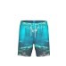 Шорти Arena WATER PRINTS BEACH BOXER (007152-800)