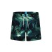 Шорти Arena WATER PRINTS BEACH SHORT AO (007159-630)