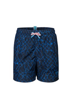 Шорти Arena WATER PRINTS BEACH BOXER AO (007186-711)