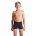 Плавки Arena PALETTE SWIM SHORT (008099-530)