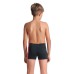 Плавки Arena PALETTE SWIM SHORT (008099-530)