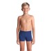 Плавки Arena PALETTE SWIM SHORT (008099-770)