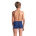Плавки Arena PALETTE SWIM SHORT (008099-770)