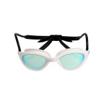 Окуляри для плавання Arena 365 GOGGLES MIRROR (008537-201)