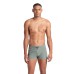 Плавки Arena EVO SWIM SHORT (008890-600)