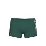 Плавки Arena BRIGHT GLARE SWIM SHORT (008941-601)
