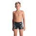 Плавки Arena POSEIDONIA SWIM SHORT (009008-501)