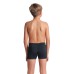 Плавки Arena POSEIDONIA SWIM SHORT (009008-501)