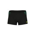 Плавки Arena MONOGRAM SWIM SHORT (009115-550)