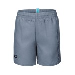 Шорти Arena LOGOTYPE BEACH BOXER (009258-550)