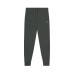 Штани спортивні Lyle & Scott SKINNY SWEATPANT(ML822VOG-W635)