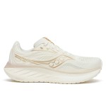 Кросівки для бігу Saucony RIDE 18 (S11000-104)