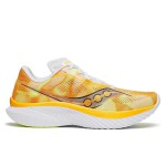 Кросівки для бігу Saucony KINVARA 15 (S20967-130)
