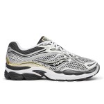 Кросівки Saucony PROGRID OMNI 9 OG (S70739-9)