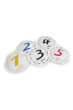 іграшка Golfinho FLOATING CIRCLES WITH NUMBERS  (J233)
