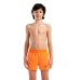 Шорти Arena BEACH SHORT LOGO R (006446-370)